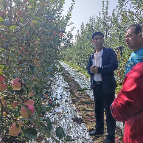 韩城市农业农村局9月21日工作动态