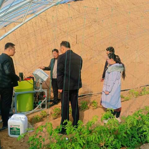 韩城市农业农村局11月20日工作动态