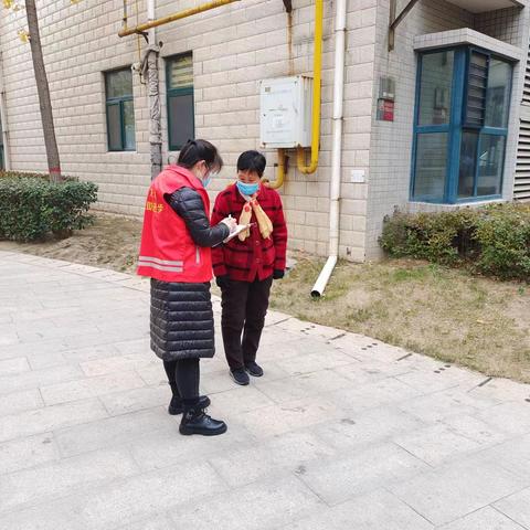 韩城市农业农村局11月24日工作动态