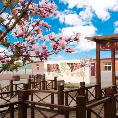 化“敌”为“友”，点亮心灵——我的班级“小助手”养成记