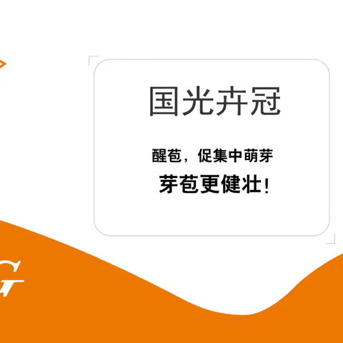 国光“卉迪”方案