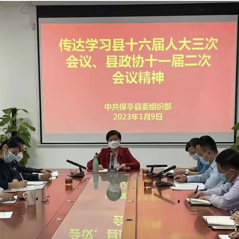 保亭县委组织部传达学习县“两会”精神