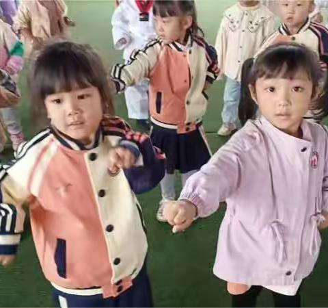 2022年金葵花幼儿园跆拳道秋季训练集锦