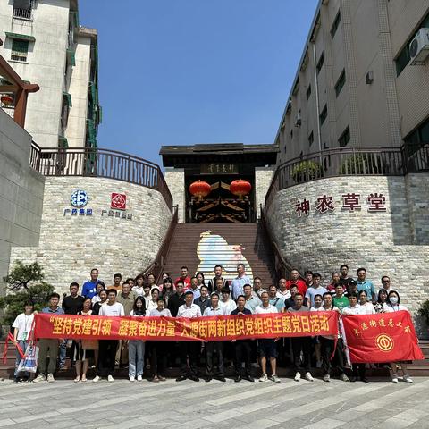 “坚持党建引领 凝聚奋进力量” ——大源街组织两新党组织主题党日活动