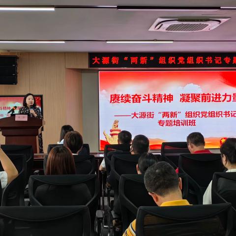 充电赋能强本领、凝心聚力促发展！大源这场两新党组织书记培训有料更有效