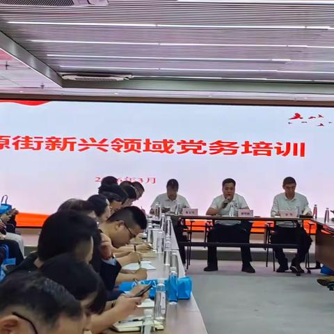 凝心聚力强党建 赋能新兴促发展 ——大源街新兴领域党务培训班圆满举办