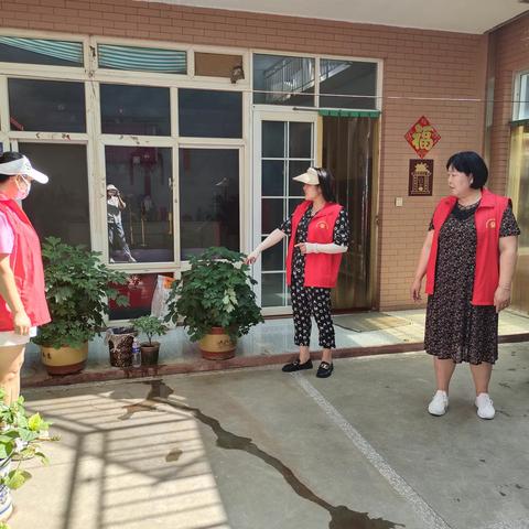 【桂园街道】大菜园村：开展“美丽庭院”评比，点“靓”幸福生活！