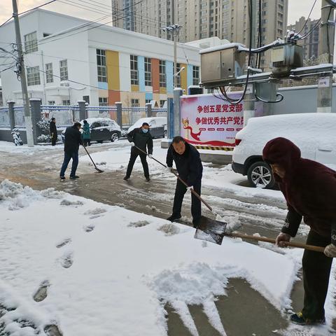 桂园街道大菜园村：党员群众齐上阵，清冰除雪保畅通！