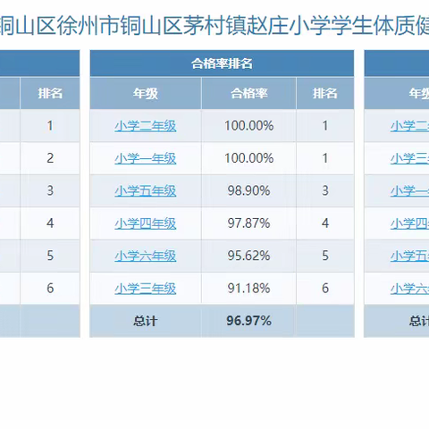 茅村镇赵庄小学体质健康排名公示