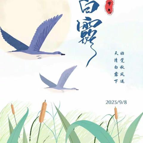 二十四节气· 白露|白露秋分夜 一夜凉一夜