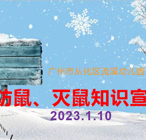 广州市流溪幼儿园防鼠、灭鼠知识宣传