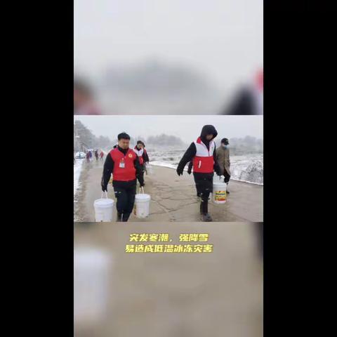 浴“雪”奋战 迎寒而上——洋门乡抗击冰雪在行动