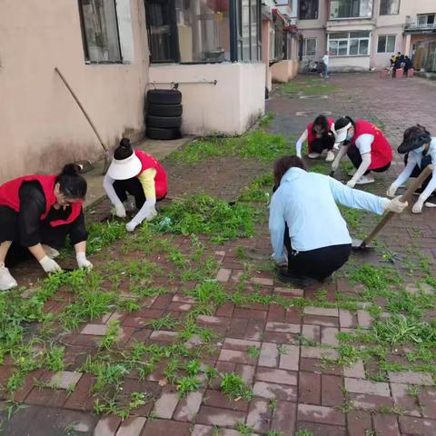 彩新社区清理楼院杂草 提升小区人居环境“颜值”