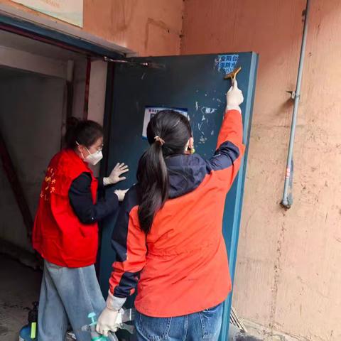 全员齐动手 让单元门告别“广告缠身”