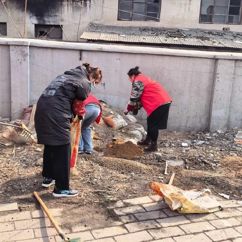 【同一座城，同一个家！One city,one family】彩新社区开展市容市貌环境卫生大清扫活动
