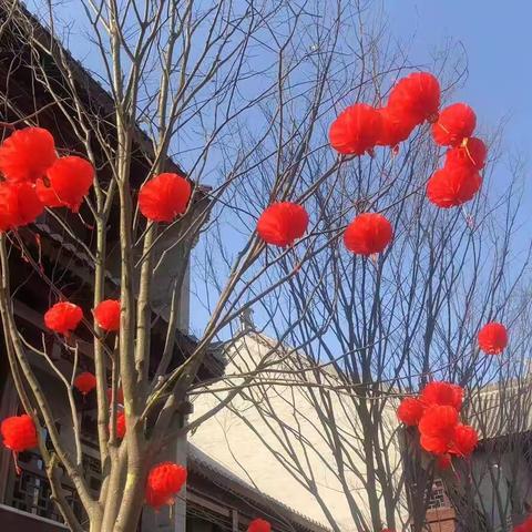 游水泊梁山 赶黄河大集|公明坊年货大街