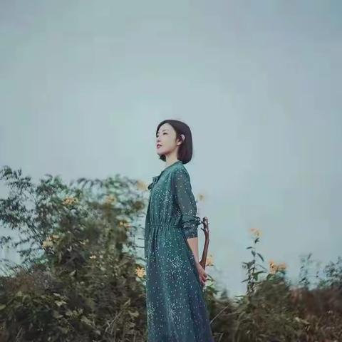 《刺猬的优雅》