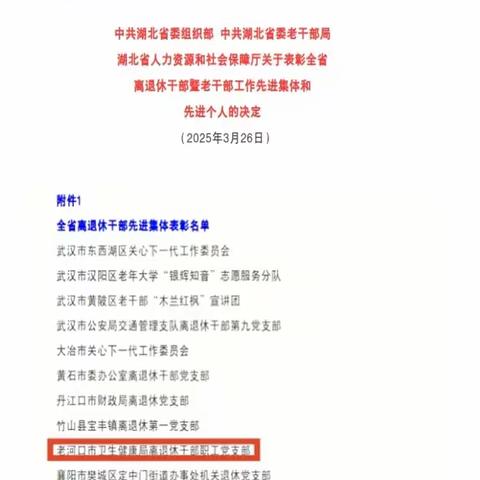 党建引领聚合力 银发生辉映初心 --市卫健局离退休干部职工党支部