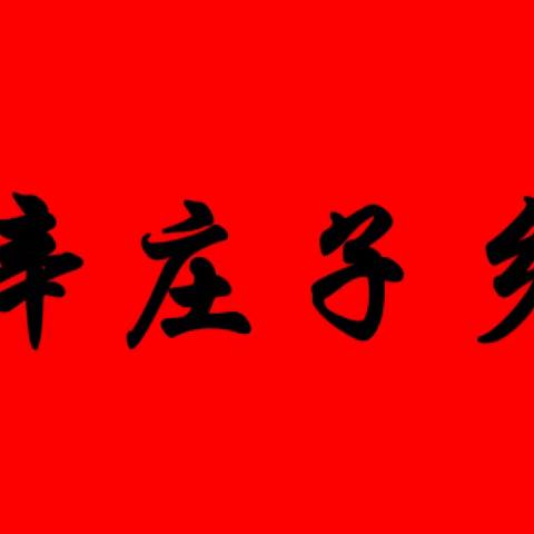 辛庄子乡山洪灾害村开展防汛应急演练