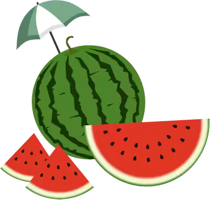 【悦润·保教】 西瓜成长记 银川市兴庆区大新第九幼儿园——小三班种植微故事