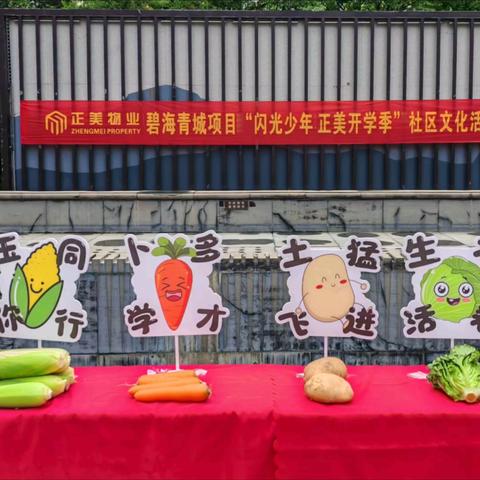 正美物业碧海青城物业服务中心8月份服务报告