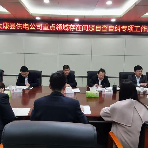 太康公司召开重点领域存在问题自查自纠工作启动会