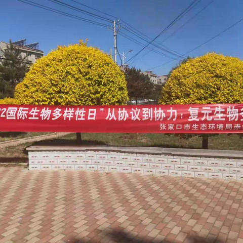 张家口市生态环境局赤城县分局开展“5.22国际生物多样性日”活动