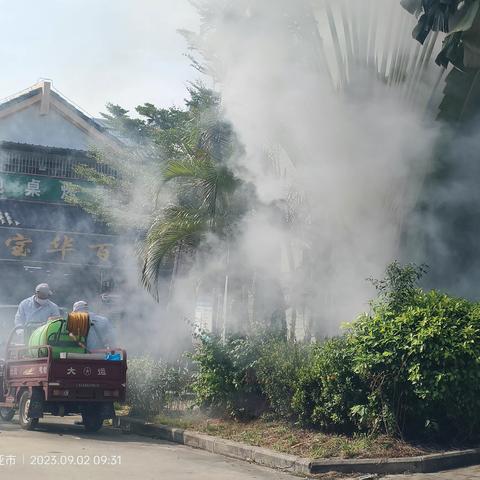 市创文巩卫办对海棠区“清洁家园防蚊灭蚊”夏秋季爱国卫生专项行动开展情况督查通报（2023年9月2日）