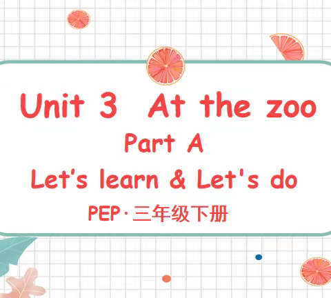 教研花开，馨香满怀——杨林小学综合组2月教研活动集锦