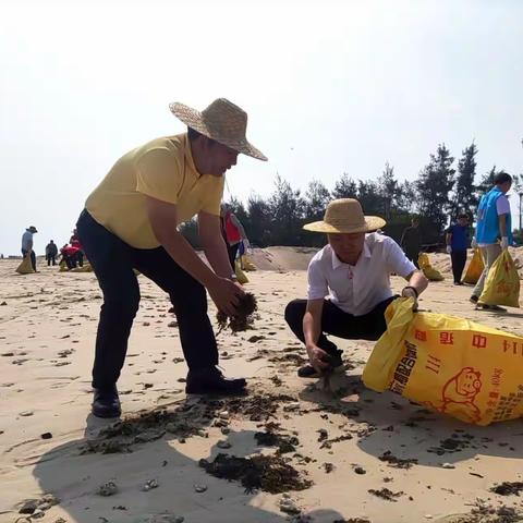 锦山镇开展“六水共治”暨海边环境卫生 清理活动