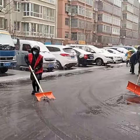 福林驿站网格员携信诚物业冒雨除雪，保小区通畅，保小区居民安全出行