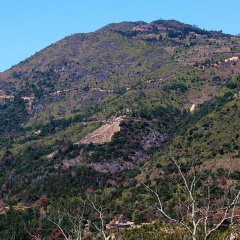 高道岩（俗称官道岩）