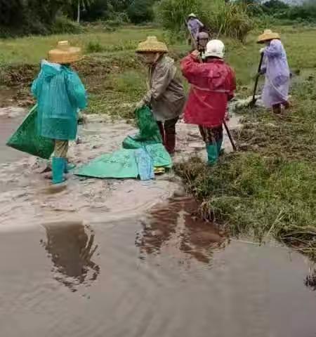 六水共治不忘初心 —中山村开展“六水共治”整治大行动