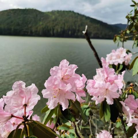 缅怀恩师陈永炽