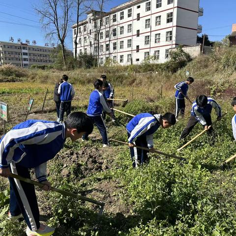 以“劳”树德，以“劳”育美一一遂川县黄坑中学开展劳动教育实践活动