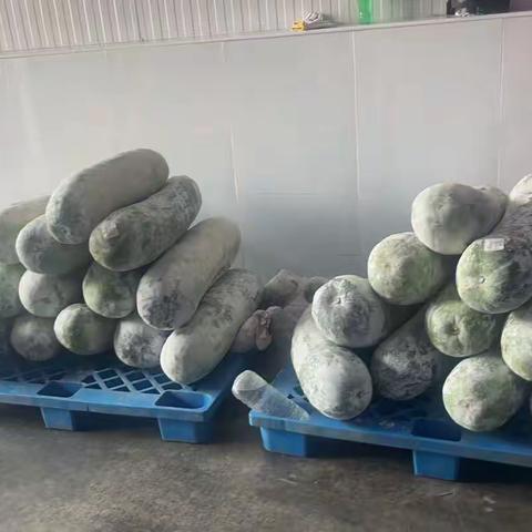 文昌瓜果滞销，约亭企业施援手—文昌约亭产业园区开展助农活动