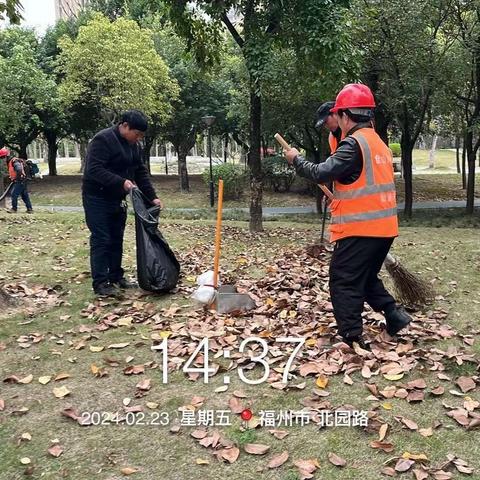 落叶专项行动，持续精细化作业