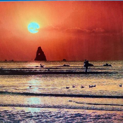 白桥镇社区教育中心校在2024年全省老年教育书画作品展评中喜获佳绩