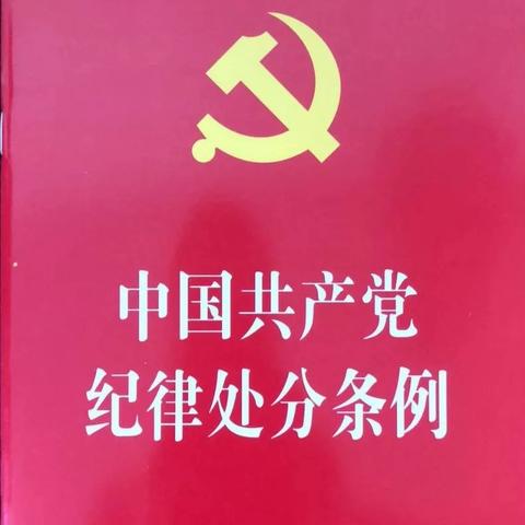 《中国共产党纪律处分条例》——汽开区实验幼儿园党支部