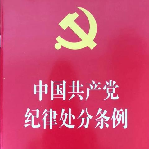 《中国共产党纪律处分条例》——汽开区实验幼儿园党支部