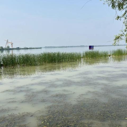 5月走园 昆承湖