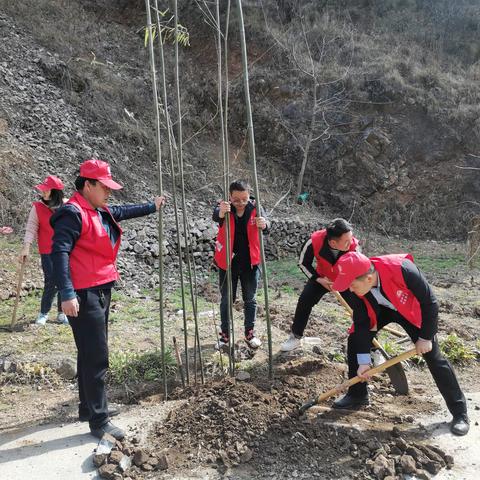 王阎镇：助推生态文明，发扬雷锋精神——青年志愿者开展植树活动