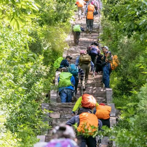 爬      在仙台山