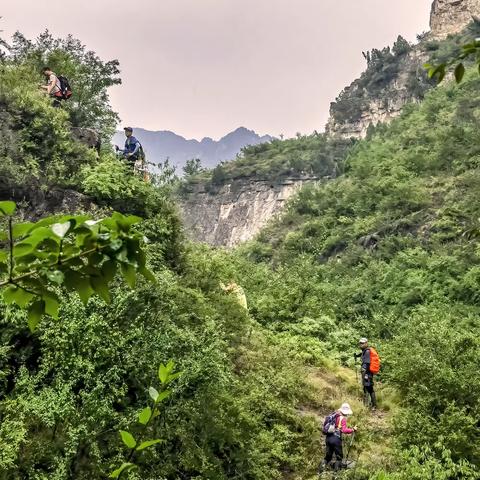 溪泉悠悠  卧龙岔