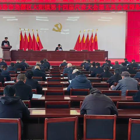 坚定信心谋发展，承压奋进勇担当——中共大阳镇第十四届代表大会第五次会议胜利召开