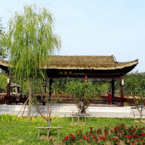 秋游