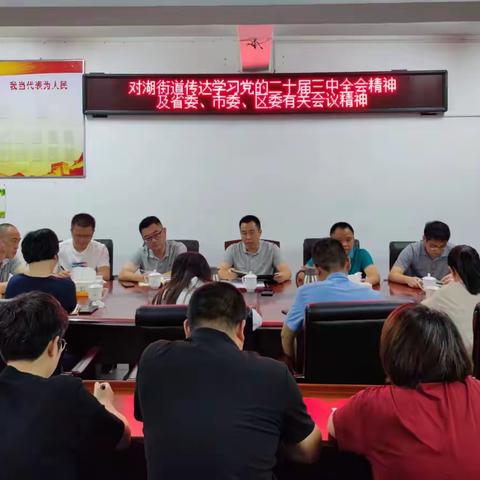 对湖街道传达学习党的二十届三中全会精神及省委、市委、区委有关会议精神