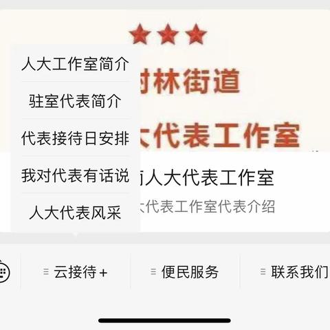 人大代表“云接待”  联系群众“不断线”