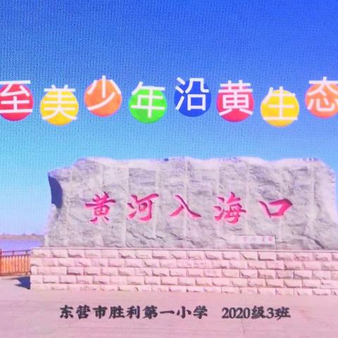 至美少年，沿黄生态行——东营市胜利第一小学2020级3班研学活动