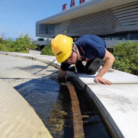 战高温不服“暑”致敬高温下的征“伏”者